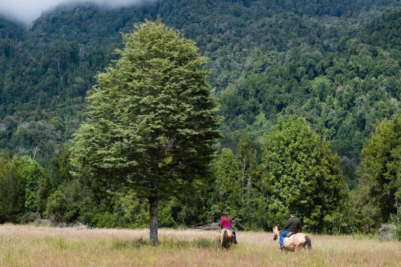 فيلا Yelcho En La Patagonia Chaitén المظهر الخارجي الصورة